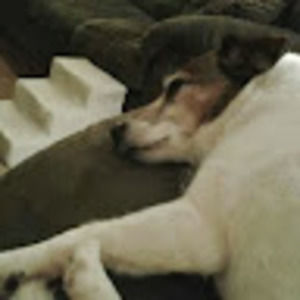 Meet your Posher, Michele